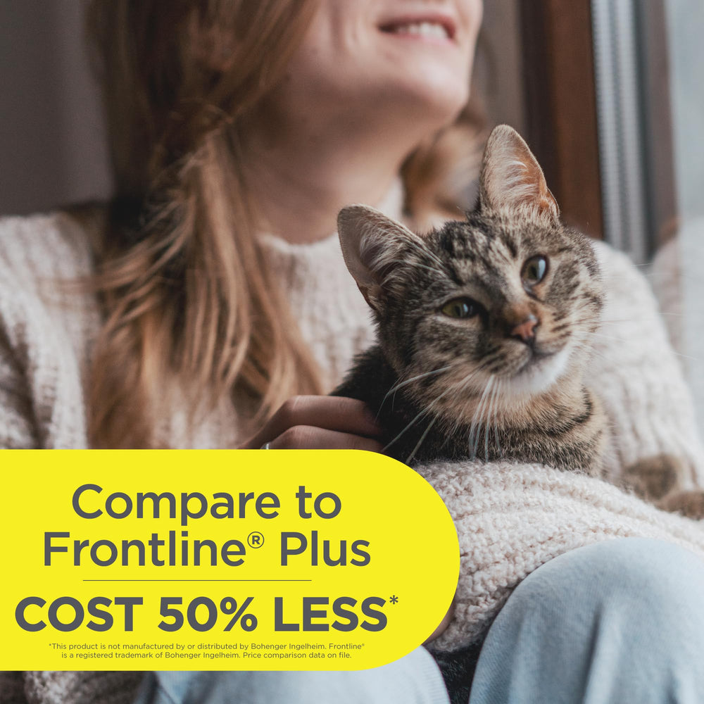 Cat after a bath remains protected thanks to TevraPet FirstAct Plus waterproof formula.