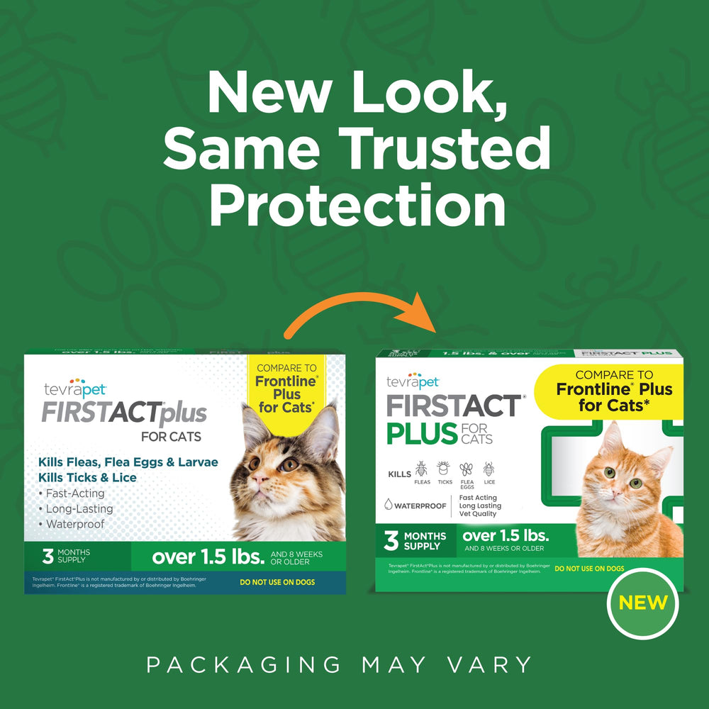 TevraPet FirstAct Plus being applied to a cat's neck for monthly protection.