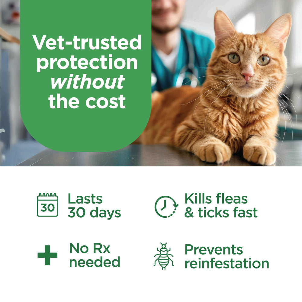 Illustration of flea and tick protection for TevraPet FirstAct Plus.
