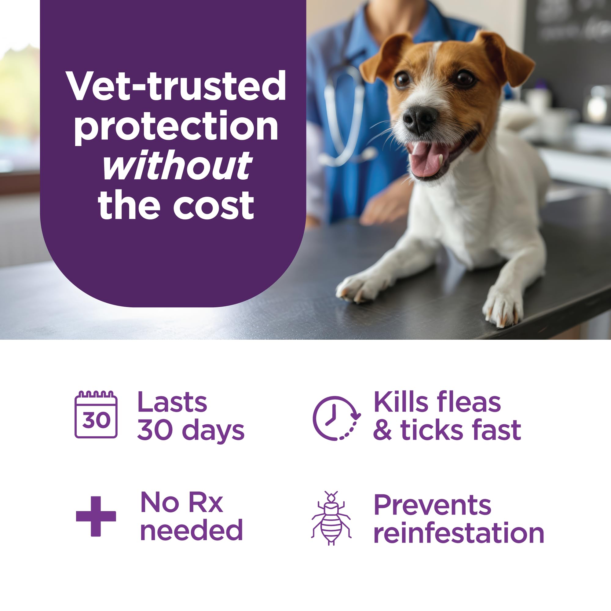 Illustration showing fleas, eggs, and ticks targeted by TevraPet FirstAct Plus.
