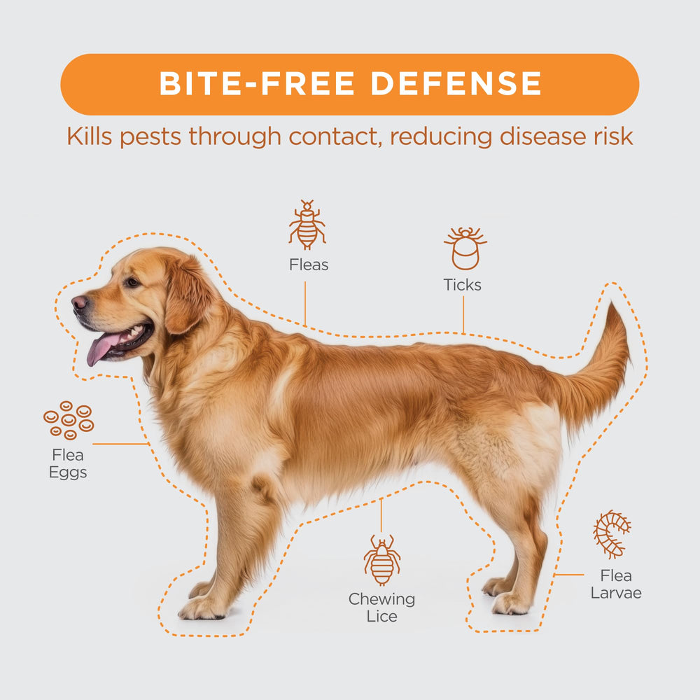 TevraPet FirstAct Plus protects dogs from ticks and fleas during outdoor time