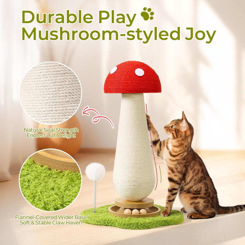 TEWIWAP spring ball toy invites active play and chasing fun.