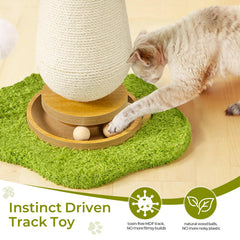TEWIWAP stable base keeps the post steady during energetic play.