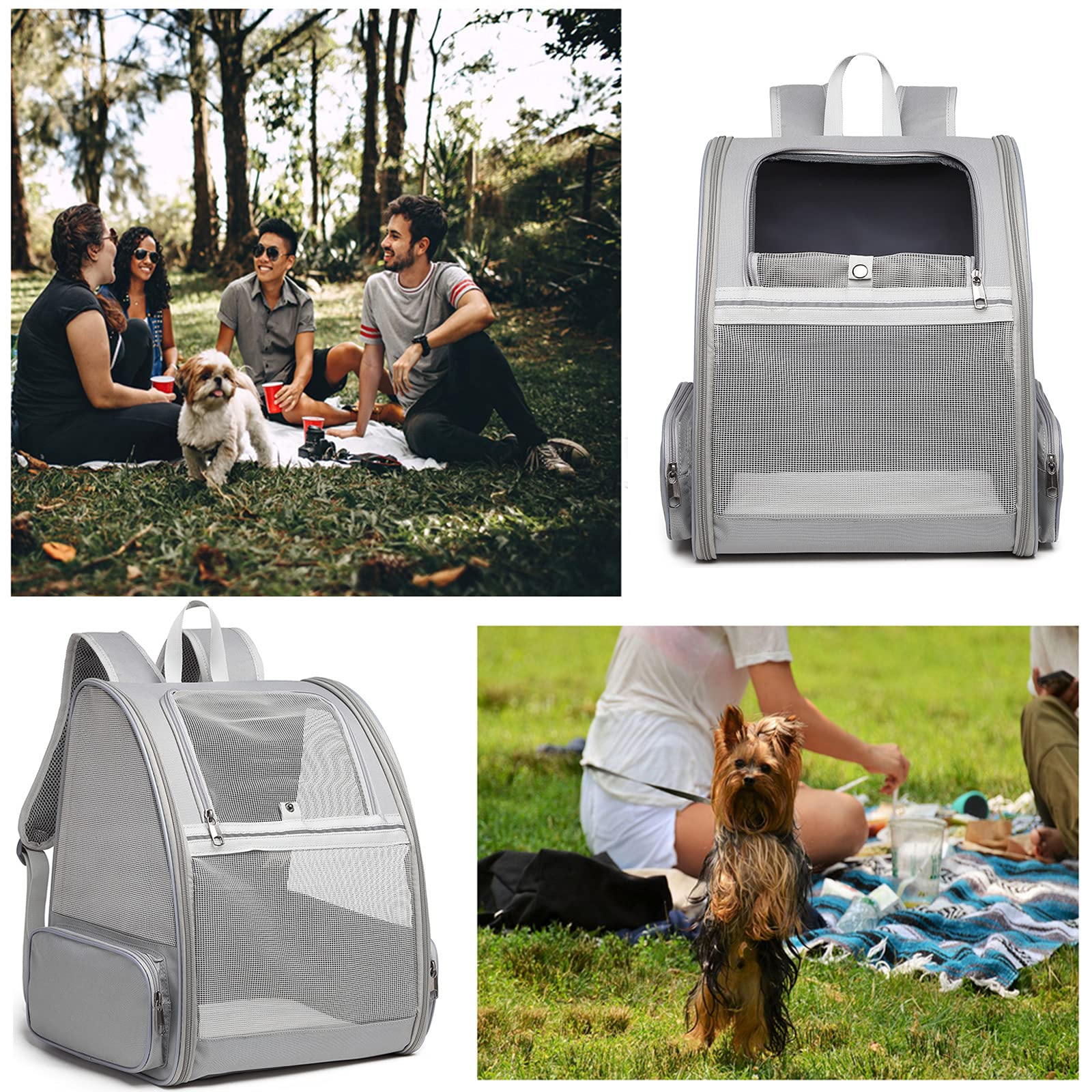 Texsens in-use travel scenario demonstrates safe, comfortable pet containment.