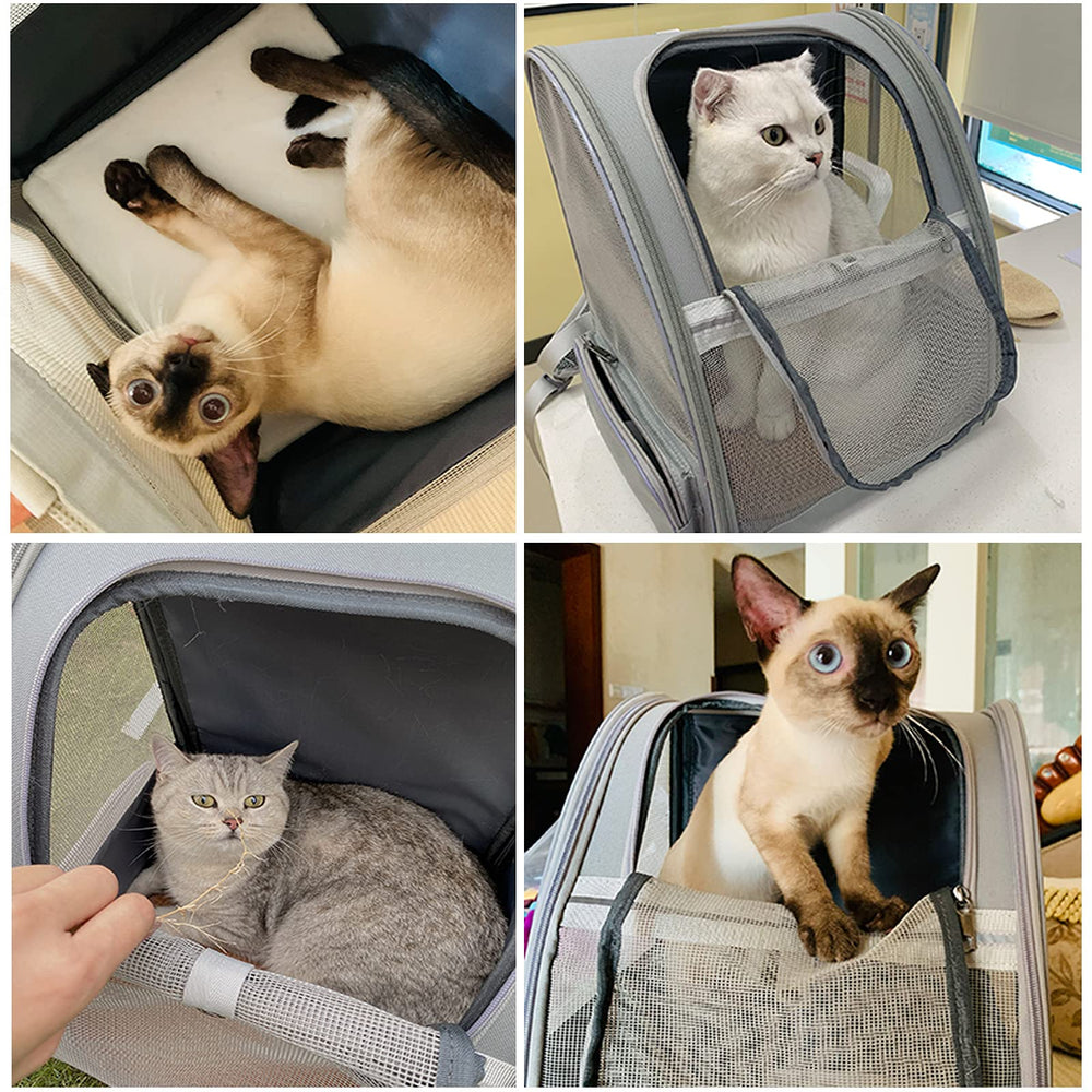 Texsens design supports pets up to 18 pounds on hikes and adventures.