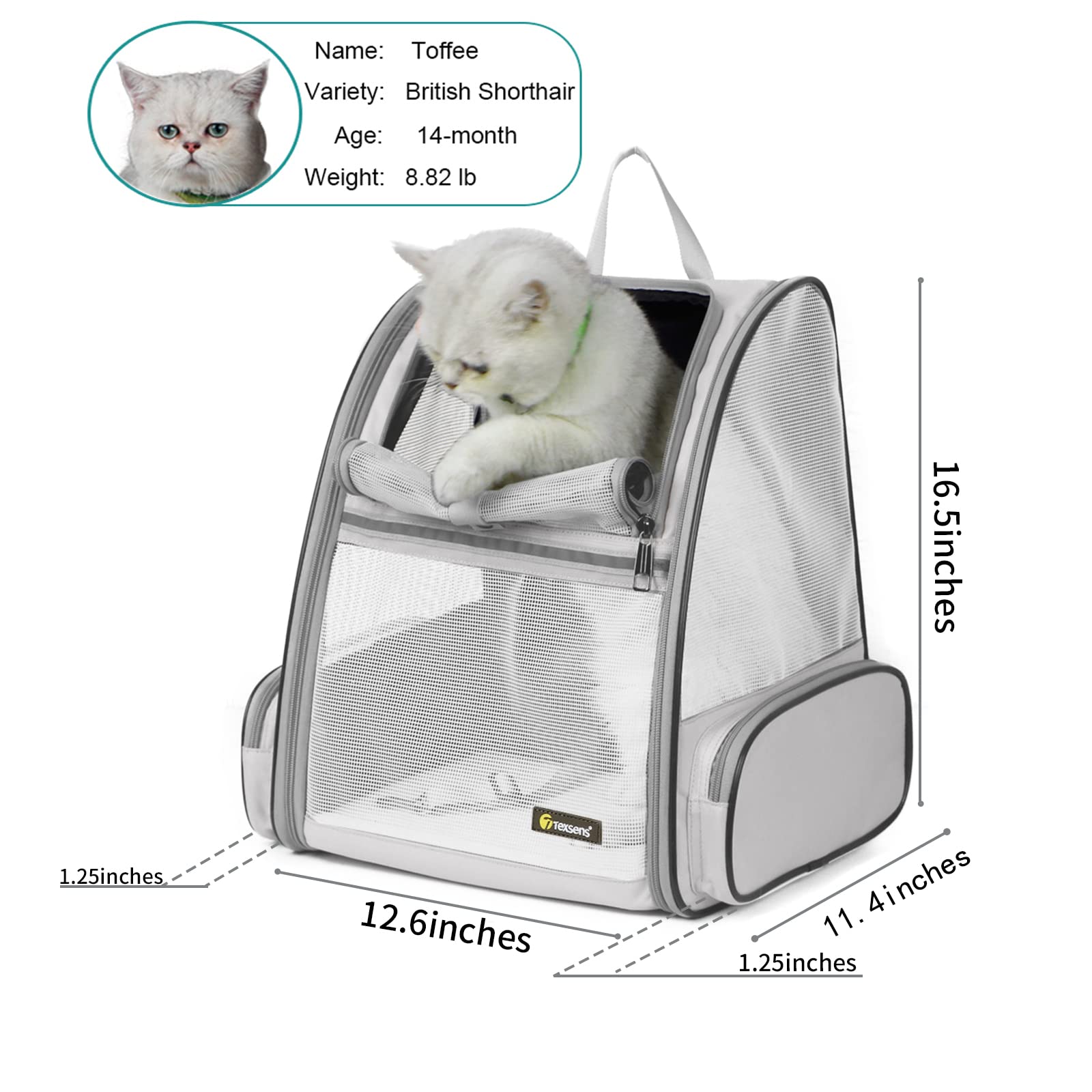 Texsens backpack side ventilation emphasizes breathable mesh for better pet airflow during travel.