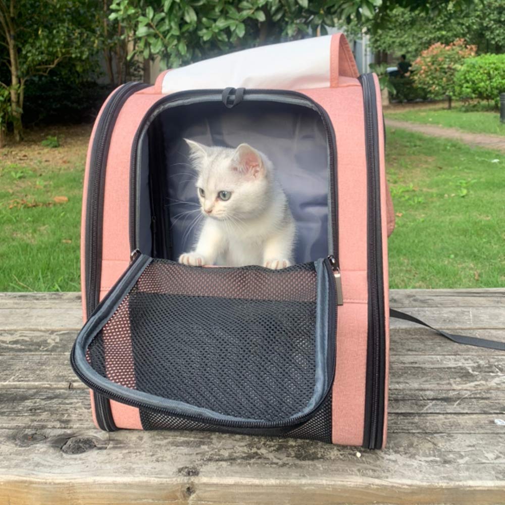 Texsens collapsible carrier for simple storage after trips