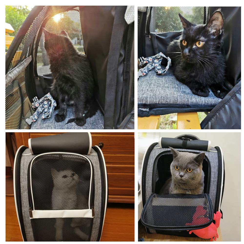 Durable, scratch-resistant Texsens carrier designed to withstand playful pets.