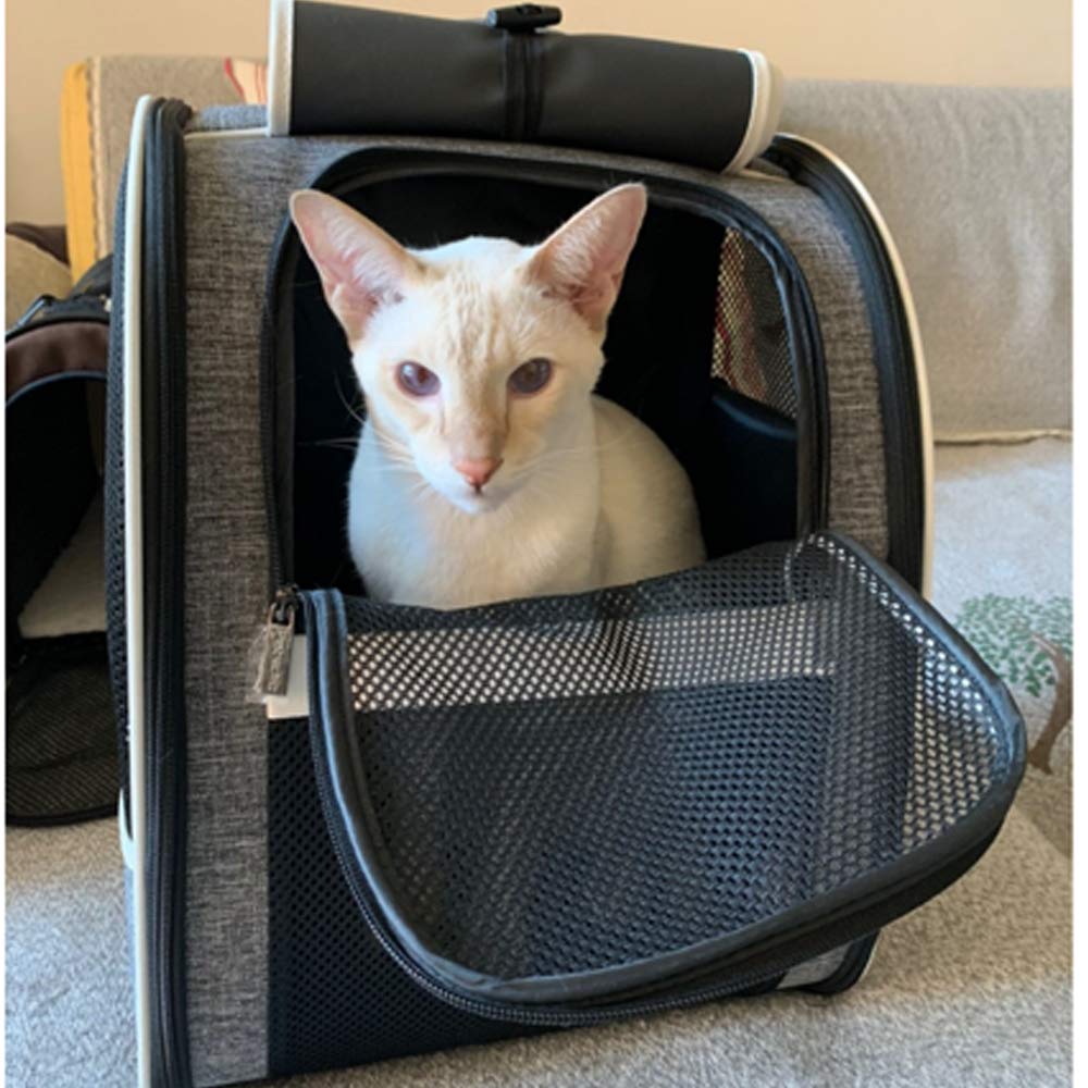 Removable cosy mat inside Texsens carrier for added pet comfort and easy cleaning.