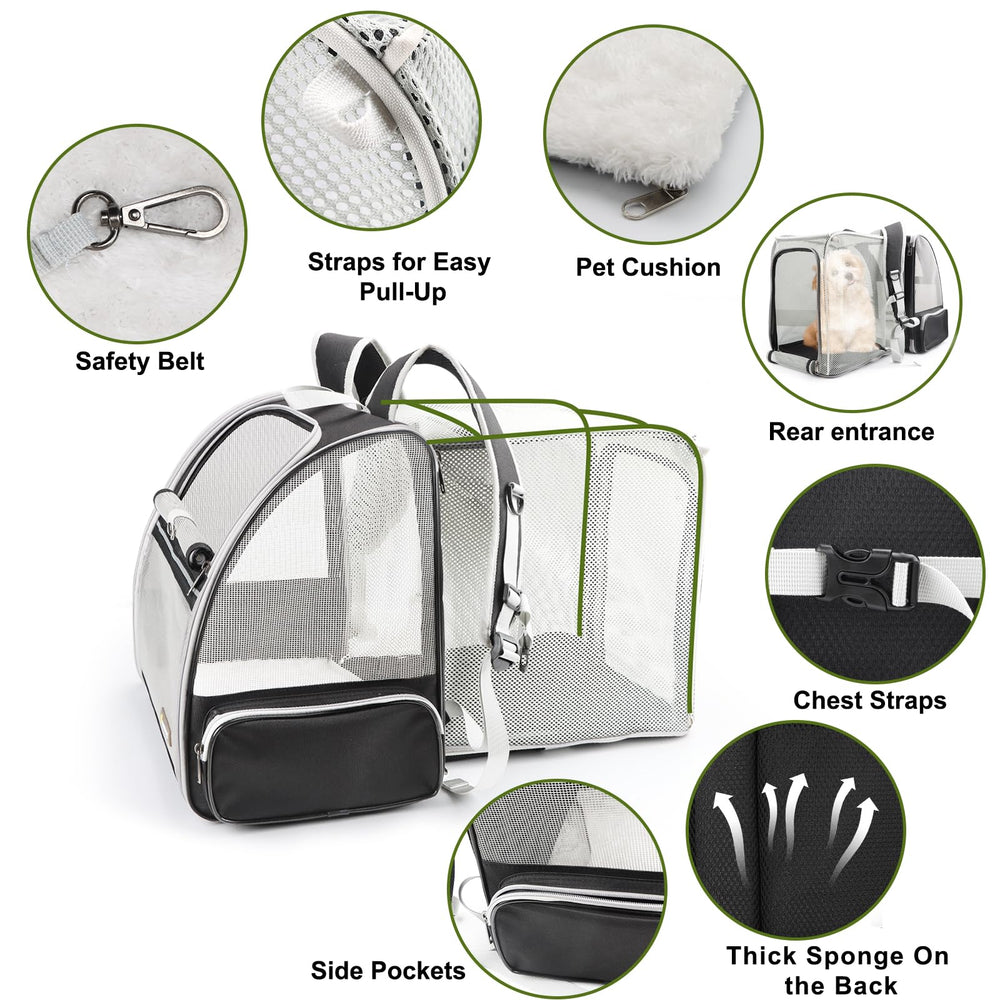 Texsens Traveler Bubble Backpack back view with compact design for easy storage.