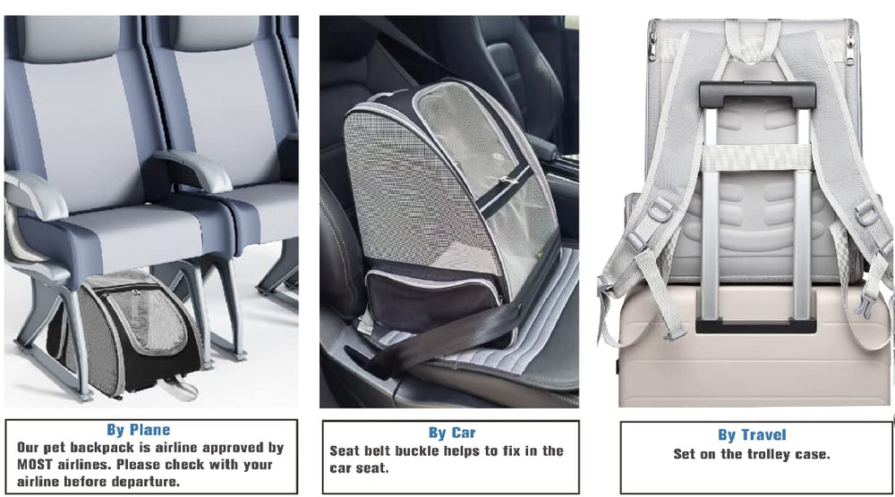 Texsens Traveler Bubble Backpack chest strap shows reduced shoulder load during travel.