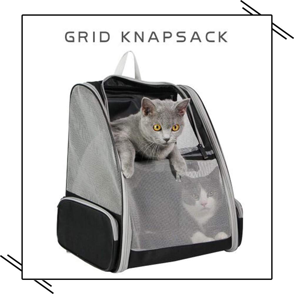 Texsens Traveler Bubble Backpack easy storage design supports compact travel.