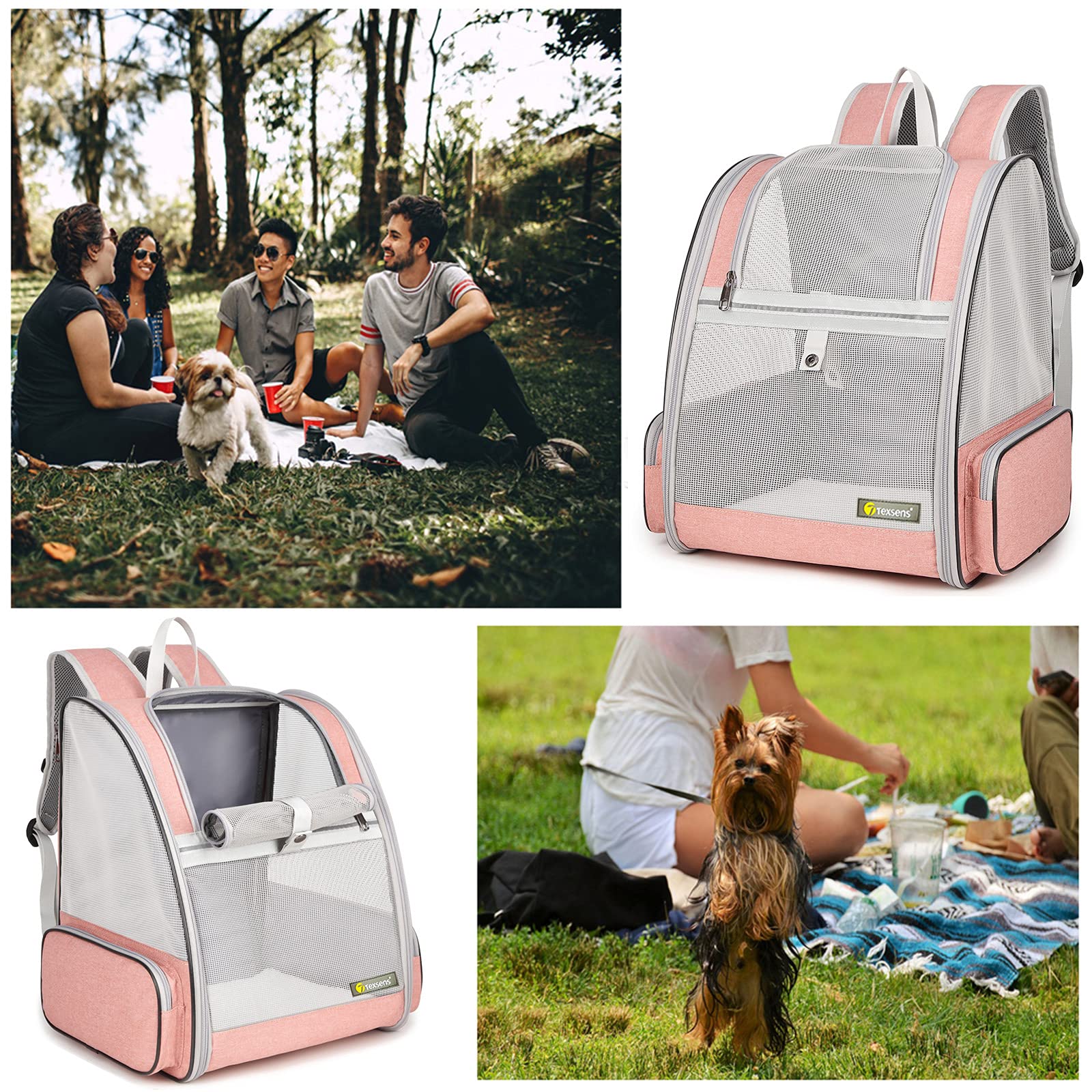 Texsens Traveler Bubble Backpack pet inside view highlighting breathable space.