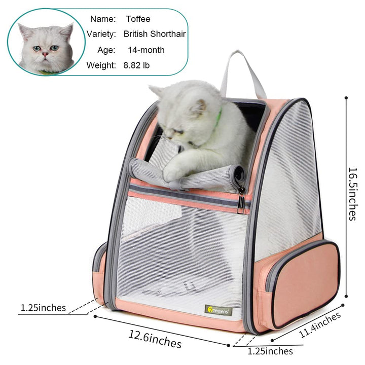 Texsens Traveler Bubble Backpack side with mesh ventilation for airflow.