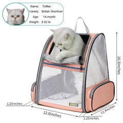 Texsens Traveler Bubble Backpack side with mesh ventilation for airflow.