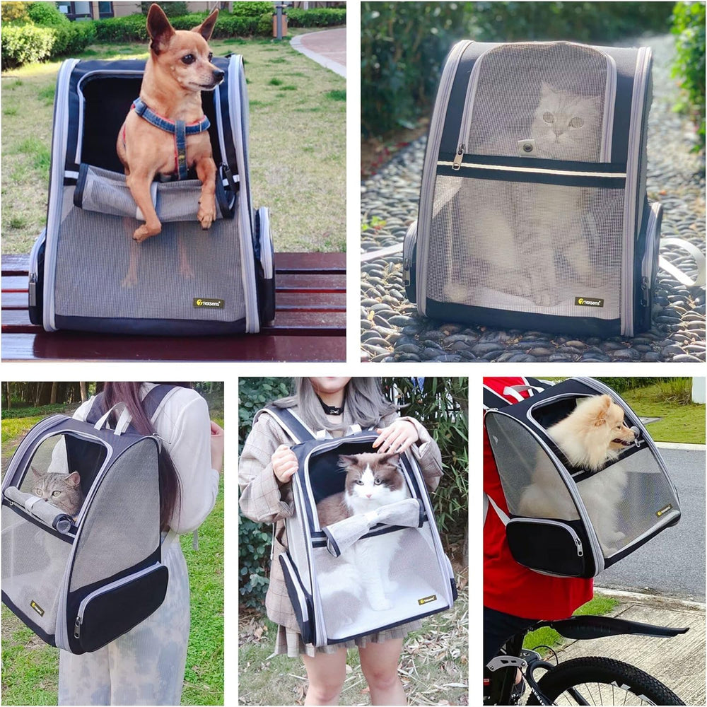 Texsens Traveler Bubble Backpack chest buckles reduce strap slip during movement.
