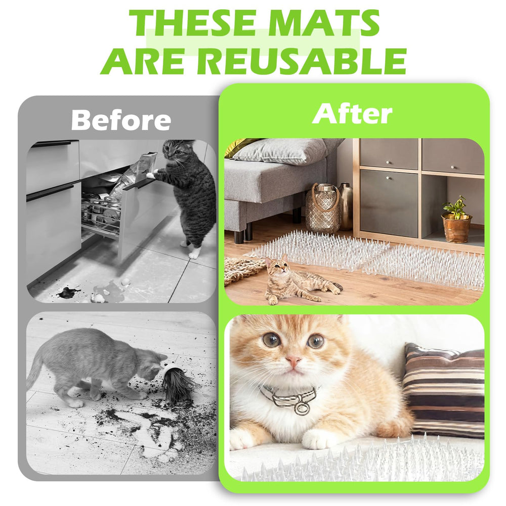 Teyva Daily mat attached using nano adhesive for quick setup