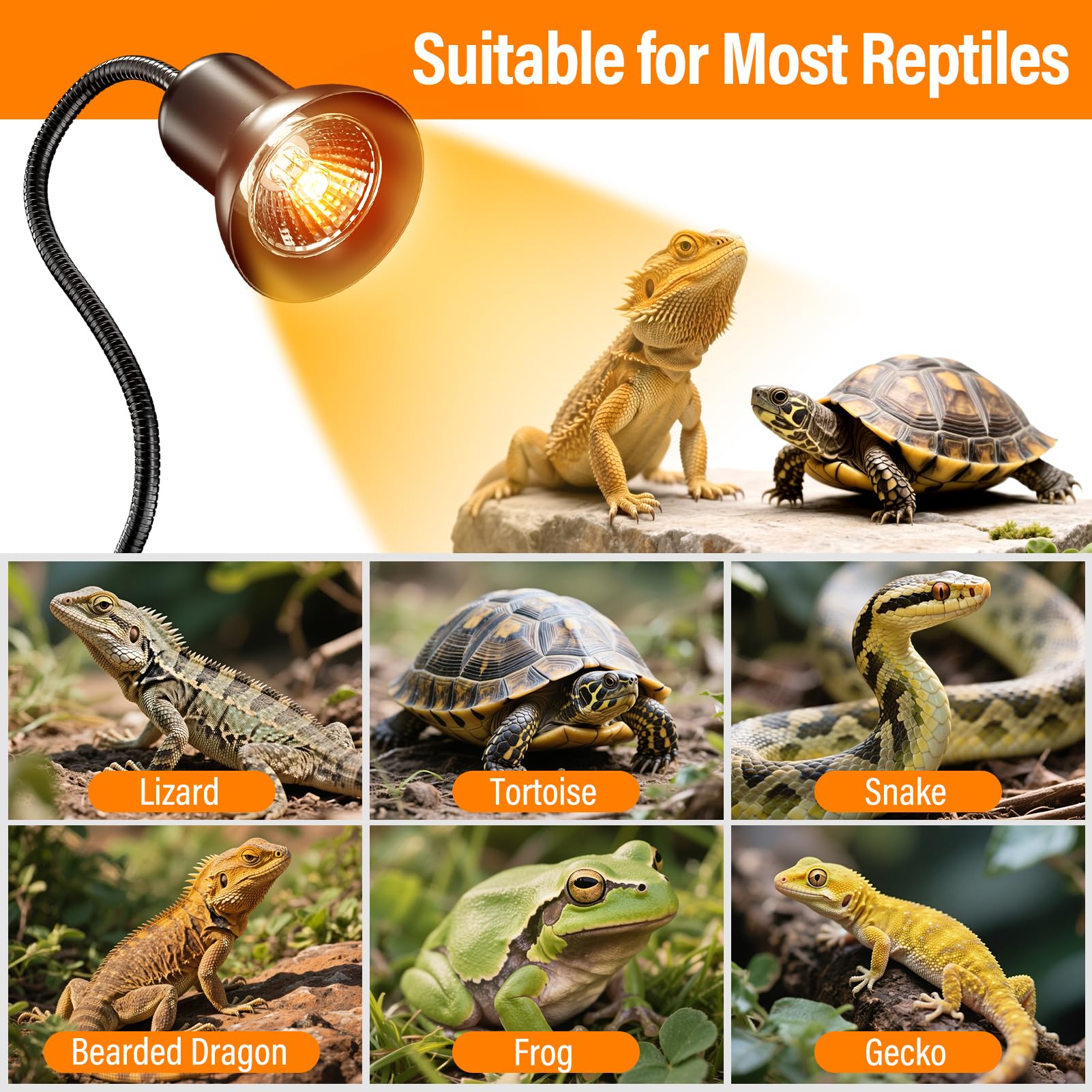 TFNN Reptile Heat Lamp wide coverage for multiple tanks.
