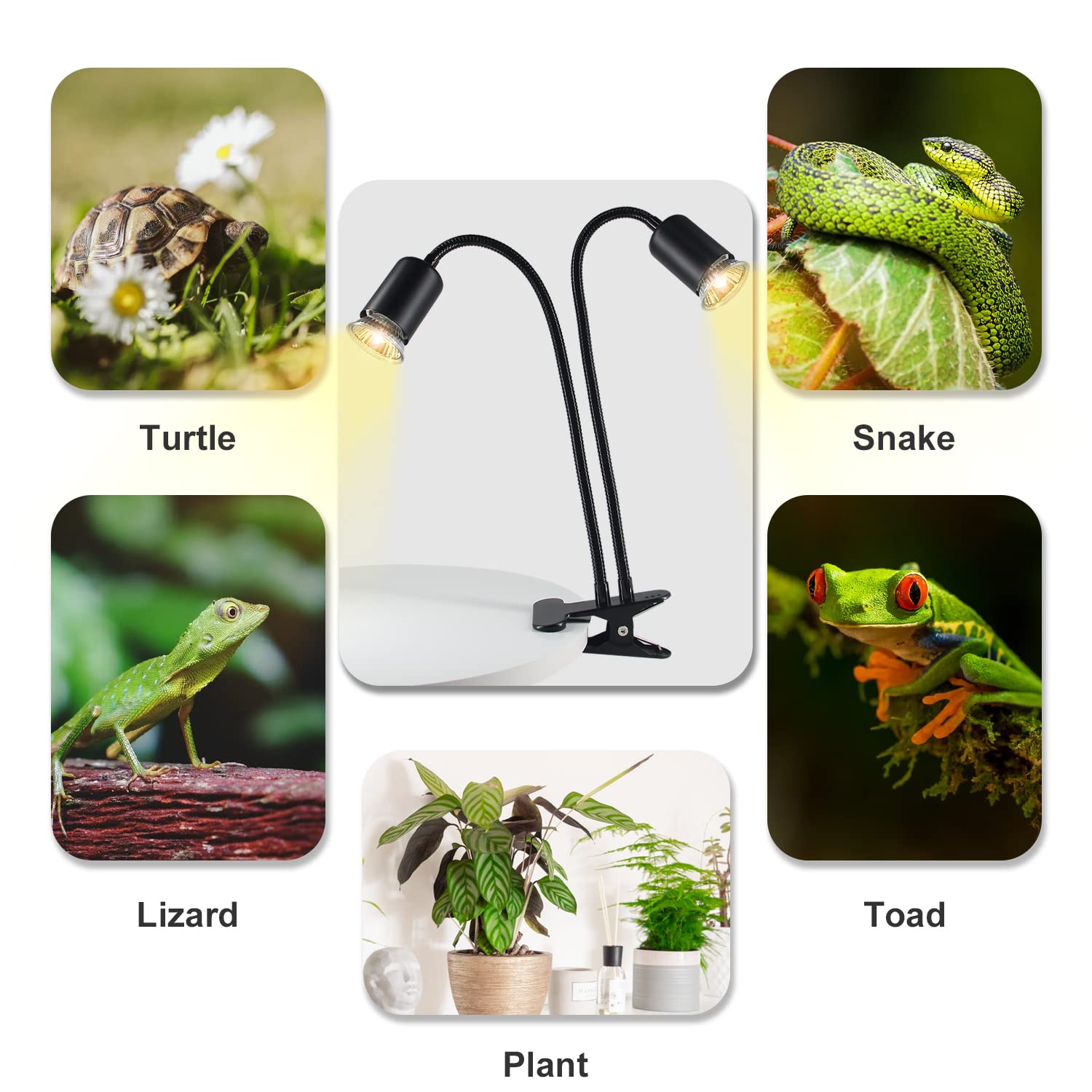 TFNN Reptile Heat Lamp wide irradiation covers larger terrariums.