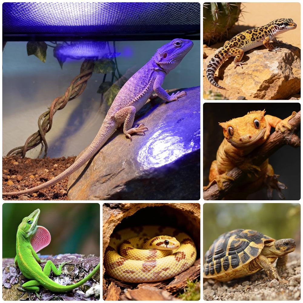 TFNN reptile light fixture 18W test card indicators in use