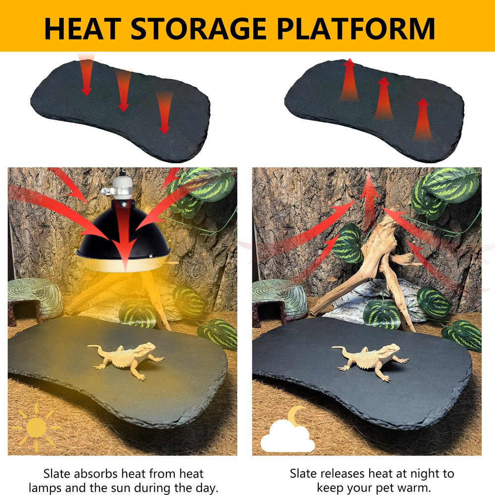 Tfwadmx bearded dragon basking platform with natural texture.