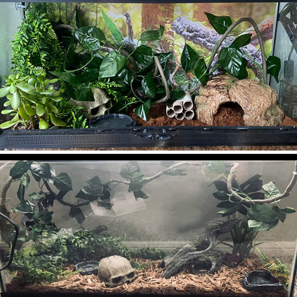 Tfwadmx bearded dragon habitat decor enhances enclosure enrichment.