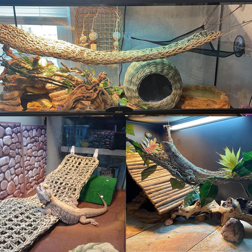 Tfwadmx two hammocks setup for bearded dragons basking and climbing