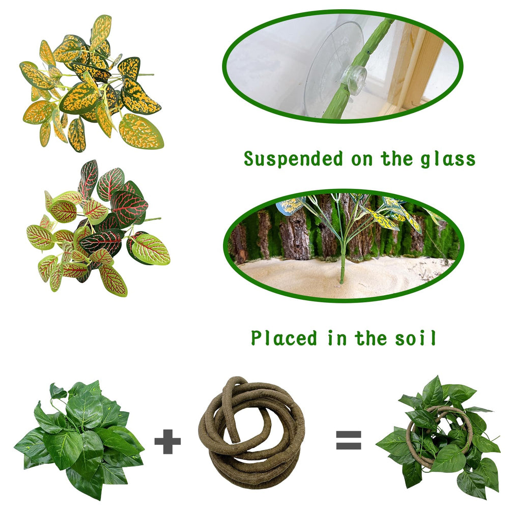 TFWADMX big leaves create shaded retreat spaces for reptiles.