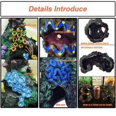 TFWADMX four-hole coral cave invites fish to swim through and explore.