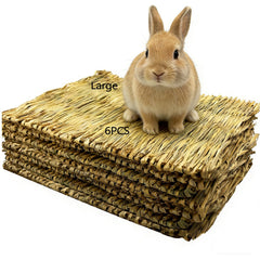Tfwadmx large 16x11 grass mat for small animals for resting and enrichment