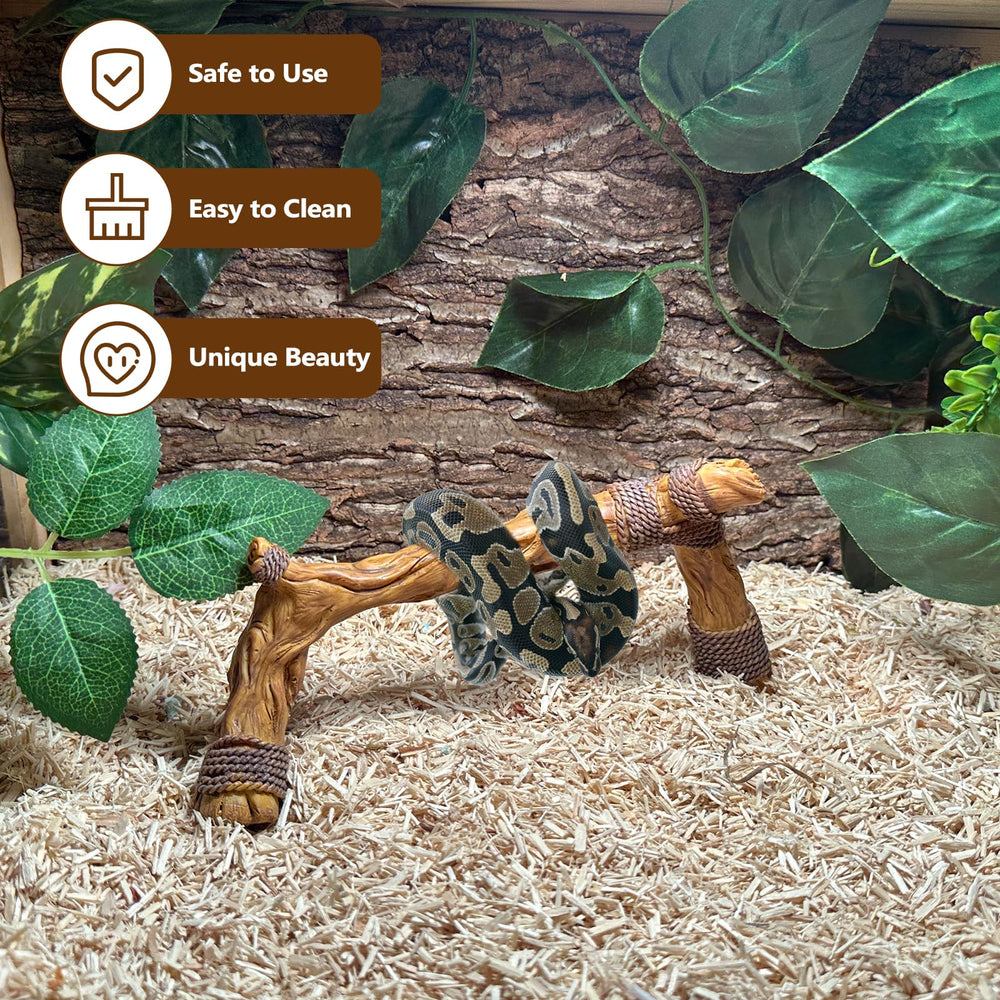 tfwadmx hermit crab climbing-branch: three-point support for stable exploration