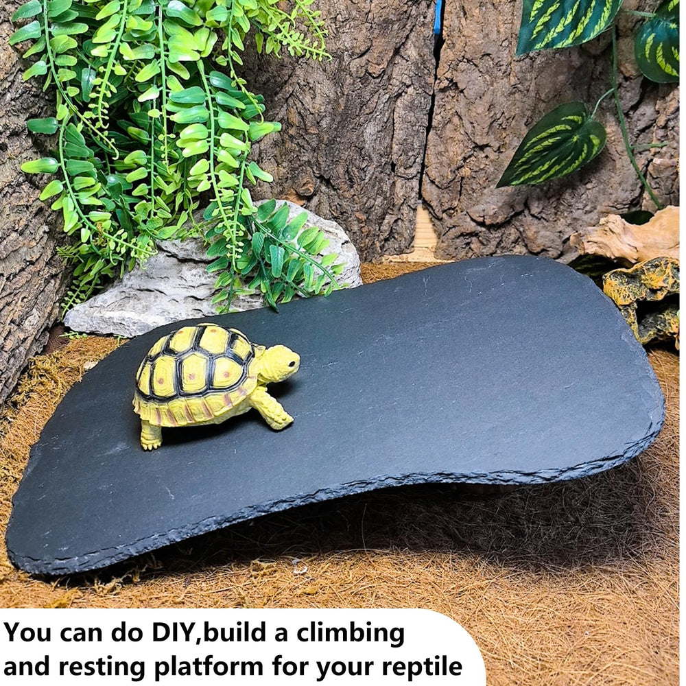 Tfwadmx multi-use rock plate for reptiles serves as basking platform or feeding dish.