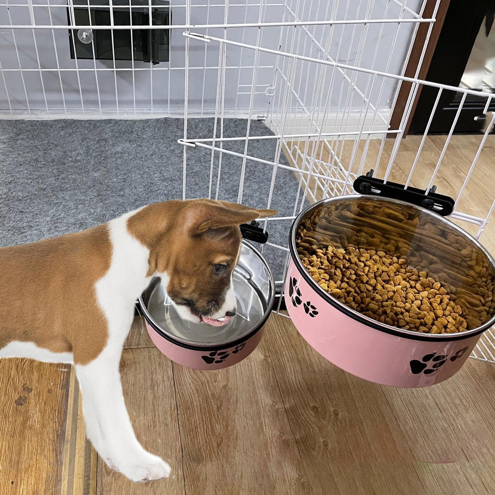 Tfwadmx paw-pattern bowls attract pets to eat.