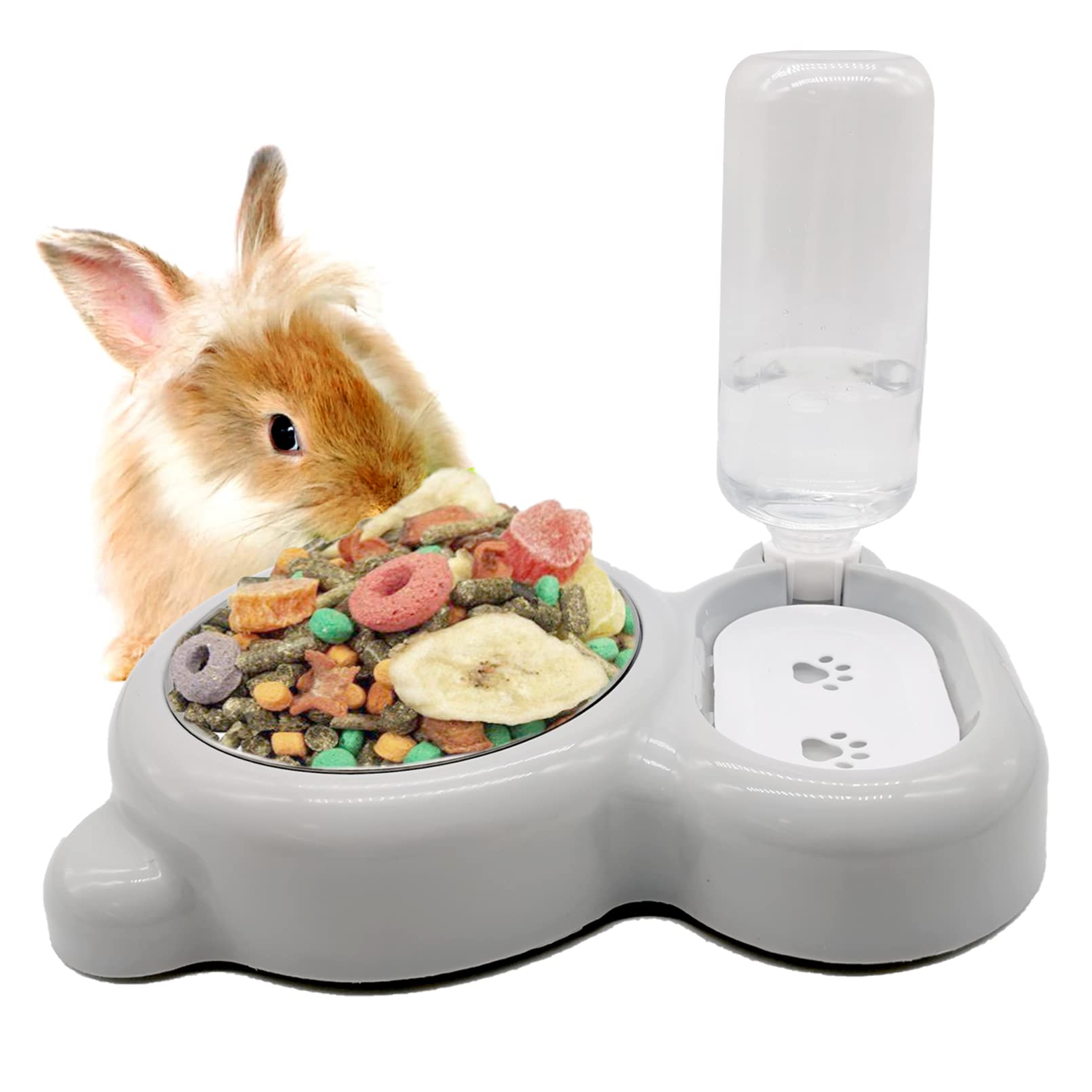 Tfwadmx pet double dishes set with food and water bowls for organized meals