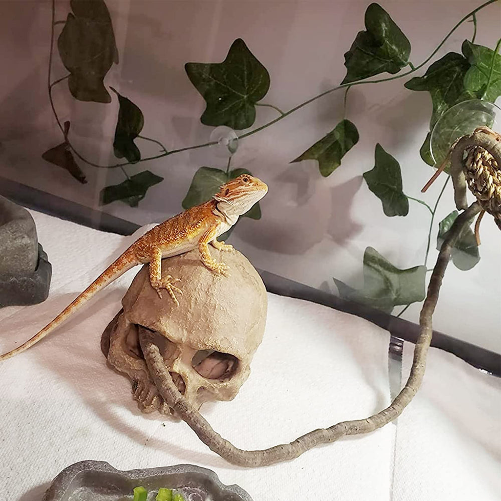 Tfwadmx reptile leaves offer colorfast foliage for hiding spots.