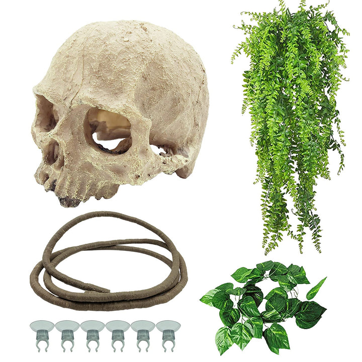 Tfwadmx reptiles skull hide decor provides authentic shelter in terrariums.