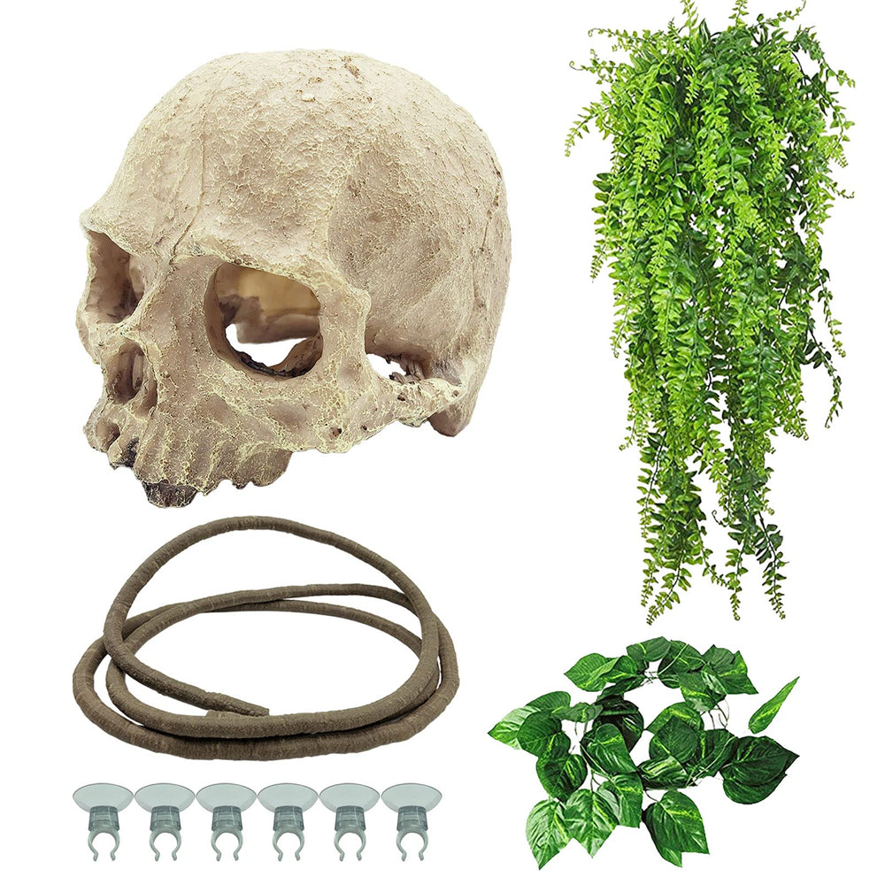 Tfwadmx reptiles skull hide decor provides authentic shelter in terrariums.