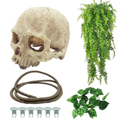 Tfwadmx reptiles skull hide decor provides authentic shelter in terrariums.