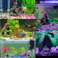 TFWADMX rock reef ornament creates a colorful focal point in the tank.