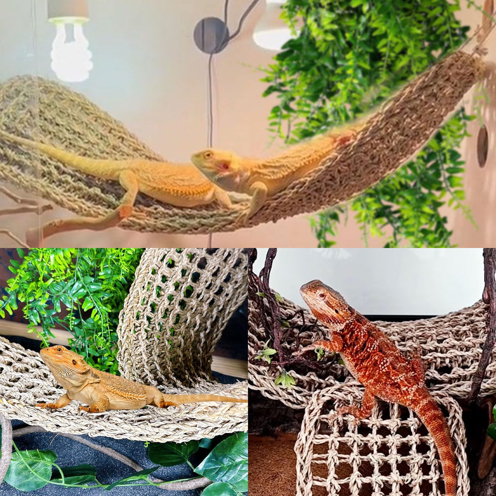 Tfwadmx suction cups pack secures hammocks on glass terrariums