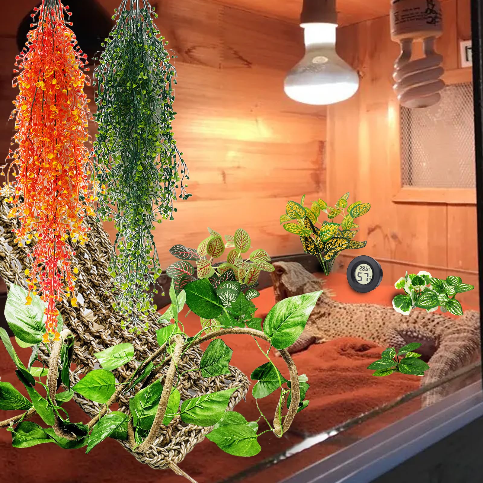 TFWADMX suction cups let you secure decor quickly and safely.