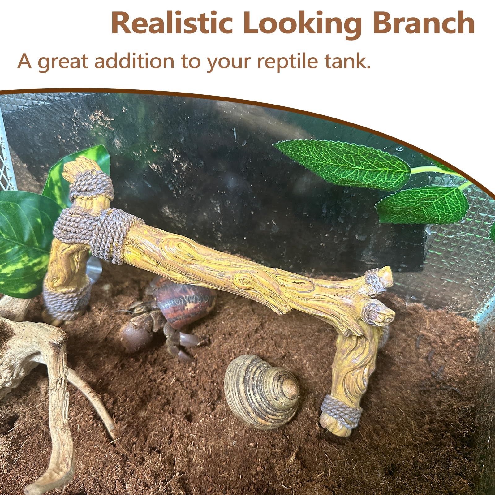 tfwadmx tarantula habitat branch: compact size for small arachnids
