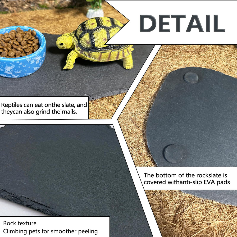 Tfwadmx natural rock texture aids realistic basking visualization