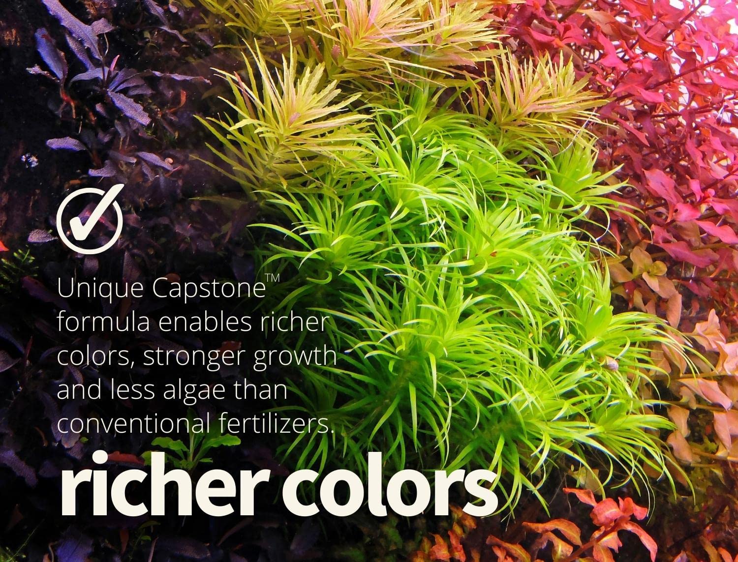 In-tank plants with THE 2HR AQUARIST APT 1 boosted color and vigor.