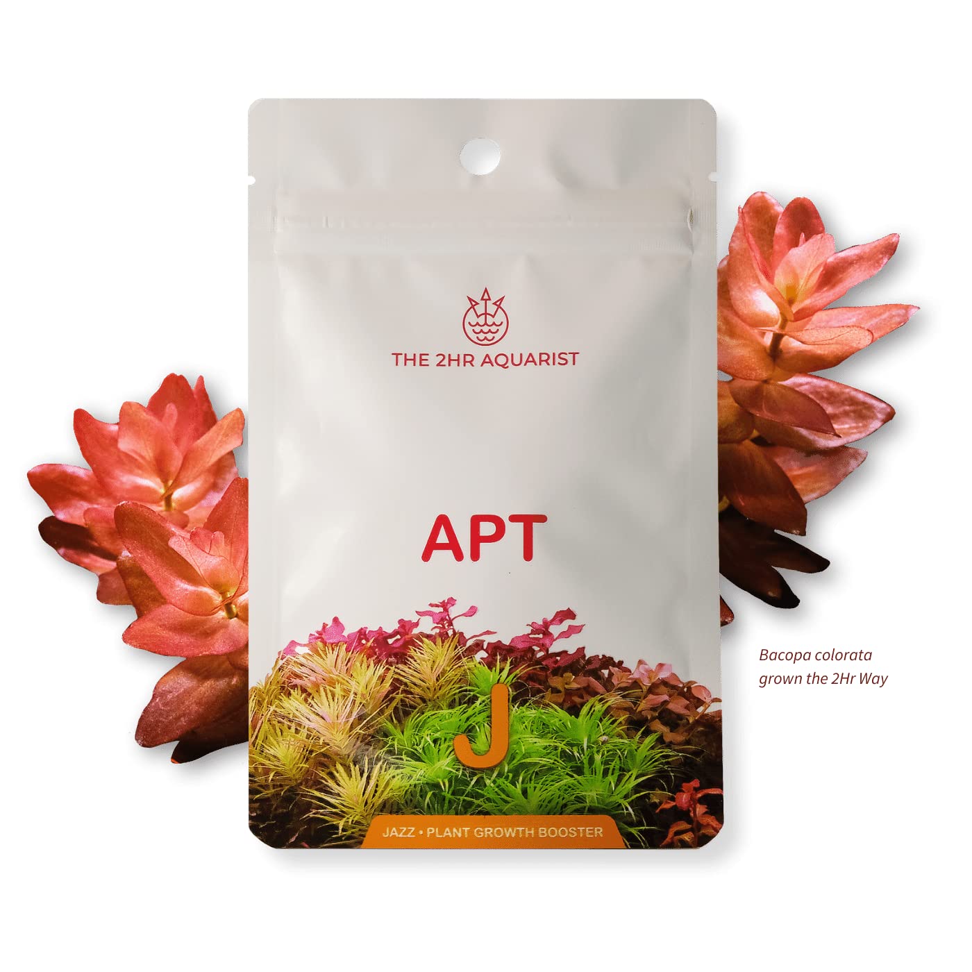 The 2HR Aquarist APT Jazz Root Tabs growth view demonstrates nutrient delivery for thicker foliage.