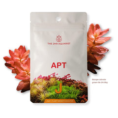 The 2HR Aquarist APT Jazz Root Tabs growth view demonstrates nutrient delivery for thicker foliage.