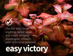 Close-up of vibrant green leaves thriving with balanced macro and micro nutrients.