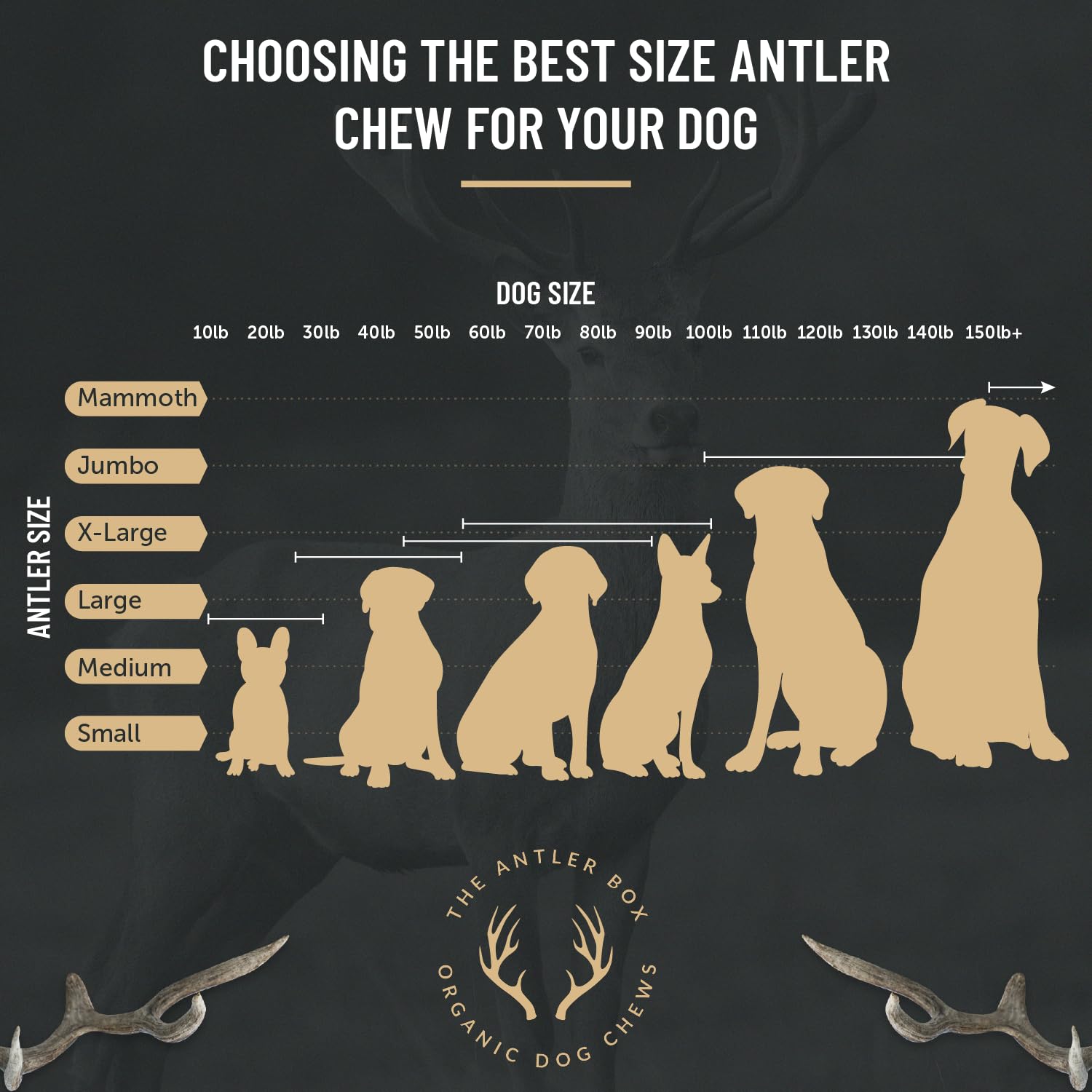 The Antler Box 1 lb bulk pack inside view shows natural chews.