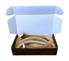 The Antler Box deer antler chews close-up texture for natural gnawing.