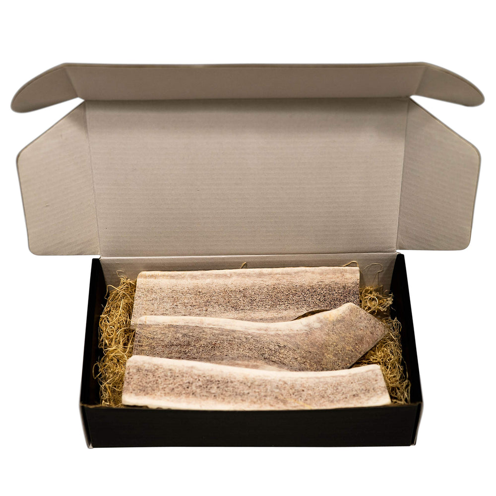 The Antler Box large split elk antler pieces close-up for a long-lasting chew.